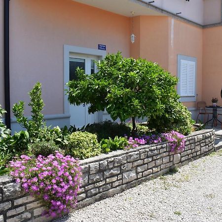 Apartman Fachin Motovun Buitenkant foto