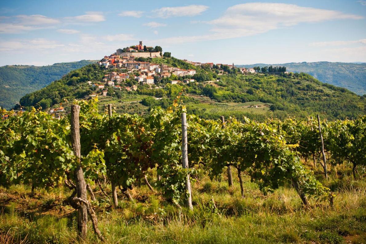 Apartman Fachin Motovun Buitenkant foto